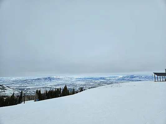 Rented by Bond New York | media 5