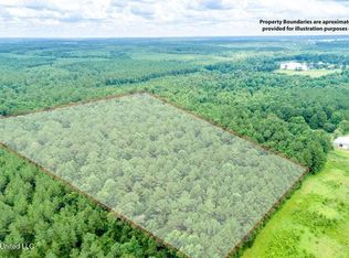 Canty Rayborn Rd, Sumrall, MS 39482