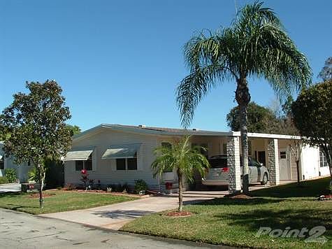 PALM TREES AND SUNSHINE