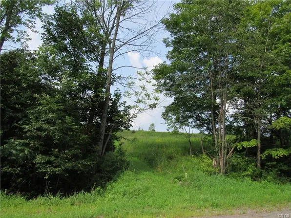 5259 Midlum Rd, Truxton, NY 13158