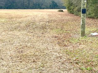 0 Fish Rd, Ridgeville, SC 29472