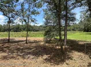 33077 Smallman St, Webster, FL 33597