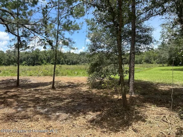 33077 Smallman St, Webster, FL 33597