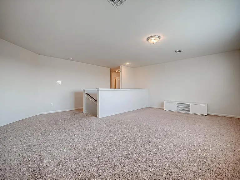 346 Apache Field Ln — Photo 20