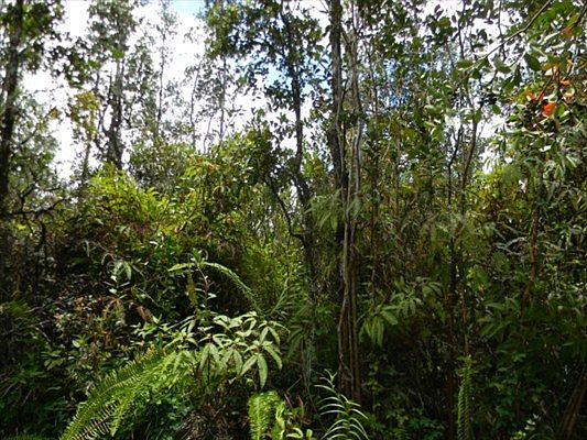 1st image of Road 11 Pulelehua Lot 5906