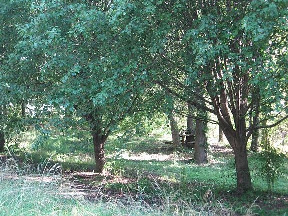 Side yard