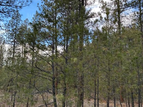 2nd image of 441X Highway 231 S Parcel 2463200