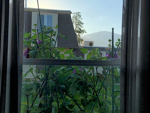 View from Living Room