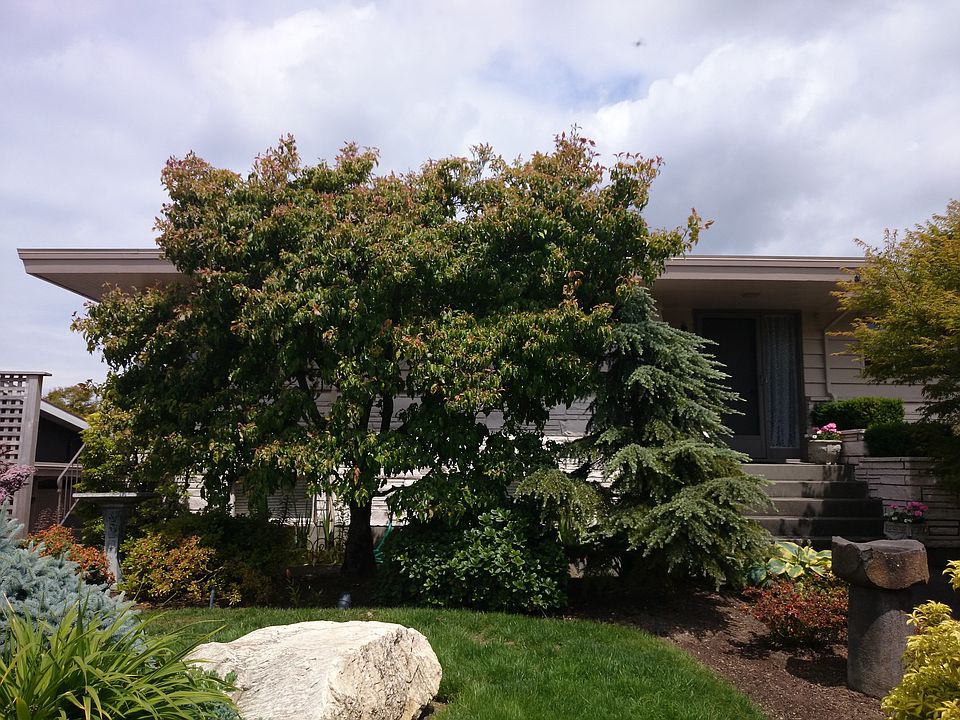 2nd image of 2314 NW 94th St