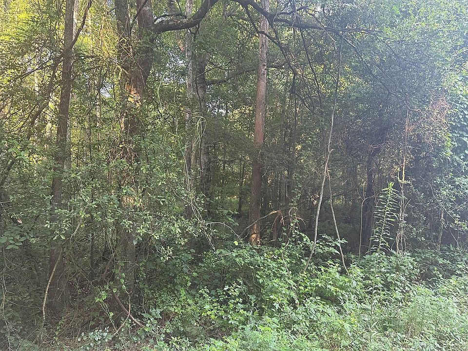 2nd image of Lawson Rd