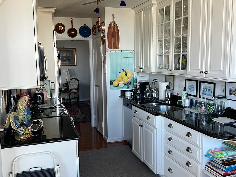 400 Madison St #1008 — Photo 4