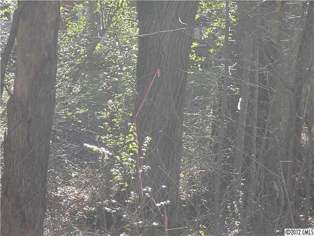 2nd image of 19207 English Daisy Dr #14