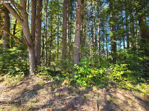 1655144007400 McKenzie St, Blue River, OR 97413