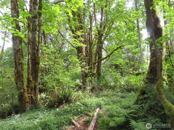 0 Lot 11 Valley View Drive, Mossyrock, WA 98564