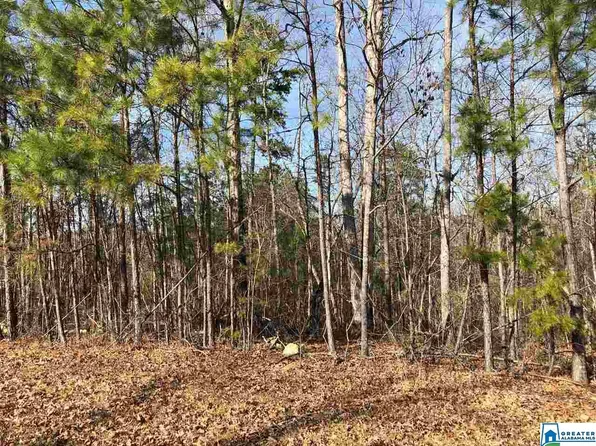 520 Ellison Way W Lot 75, Pell City, AL 35128