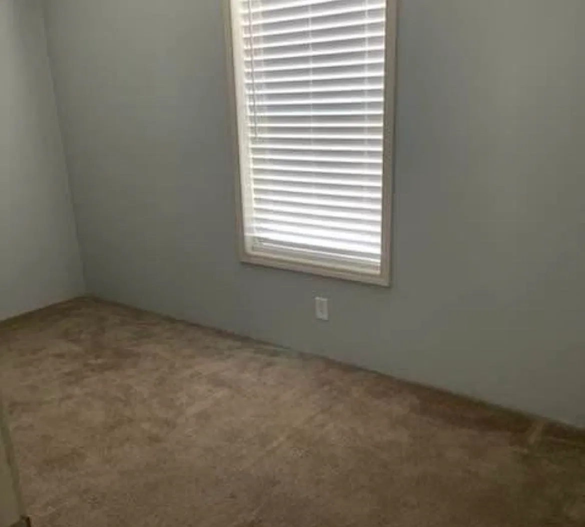 1 bed, $600 — Photo 2