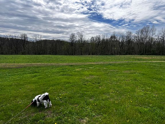 3rd image of 10093 S State Highway 501