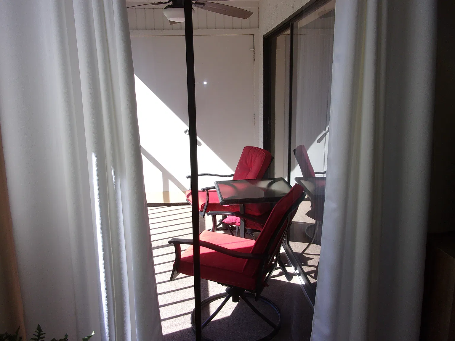 Paradise Found — Photo 2