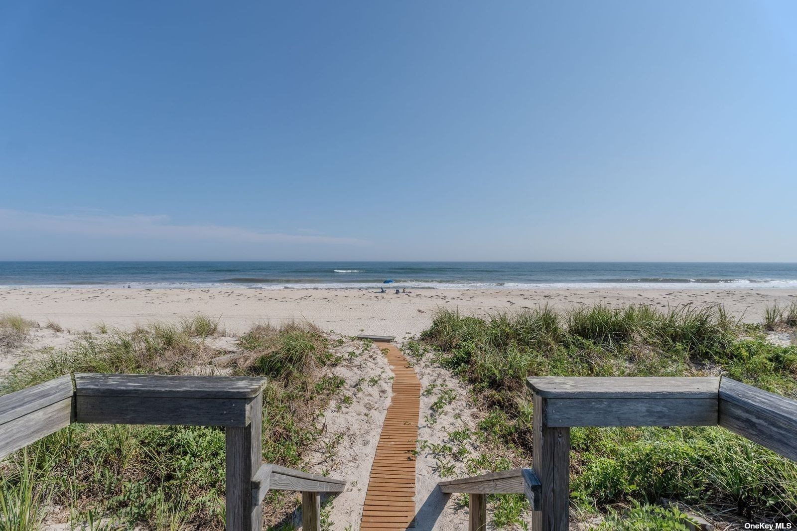  Life on the Dunes !