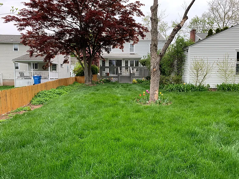 37 Spring Garden St — Photo 8