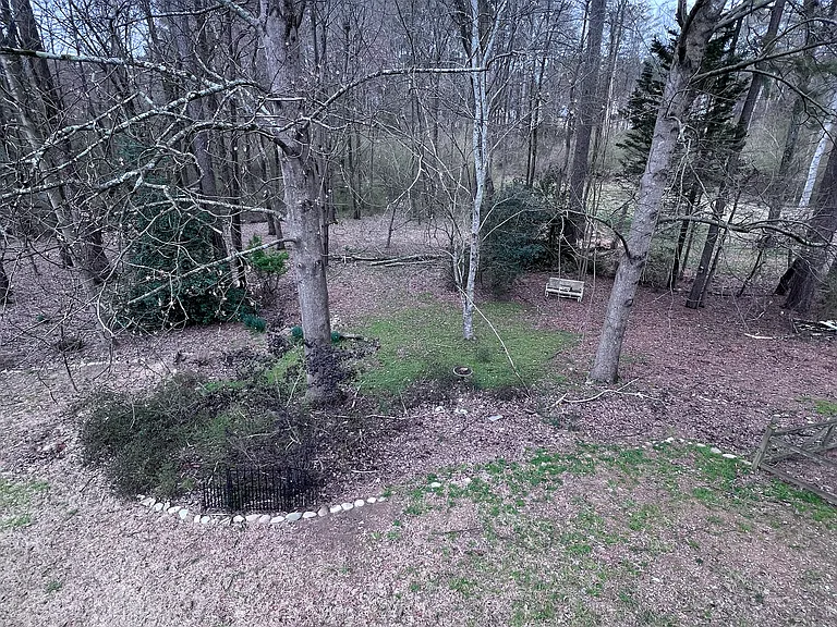 Backyard view