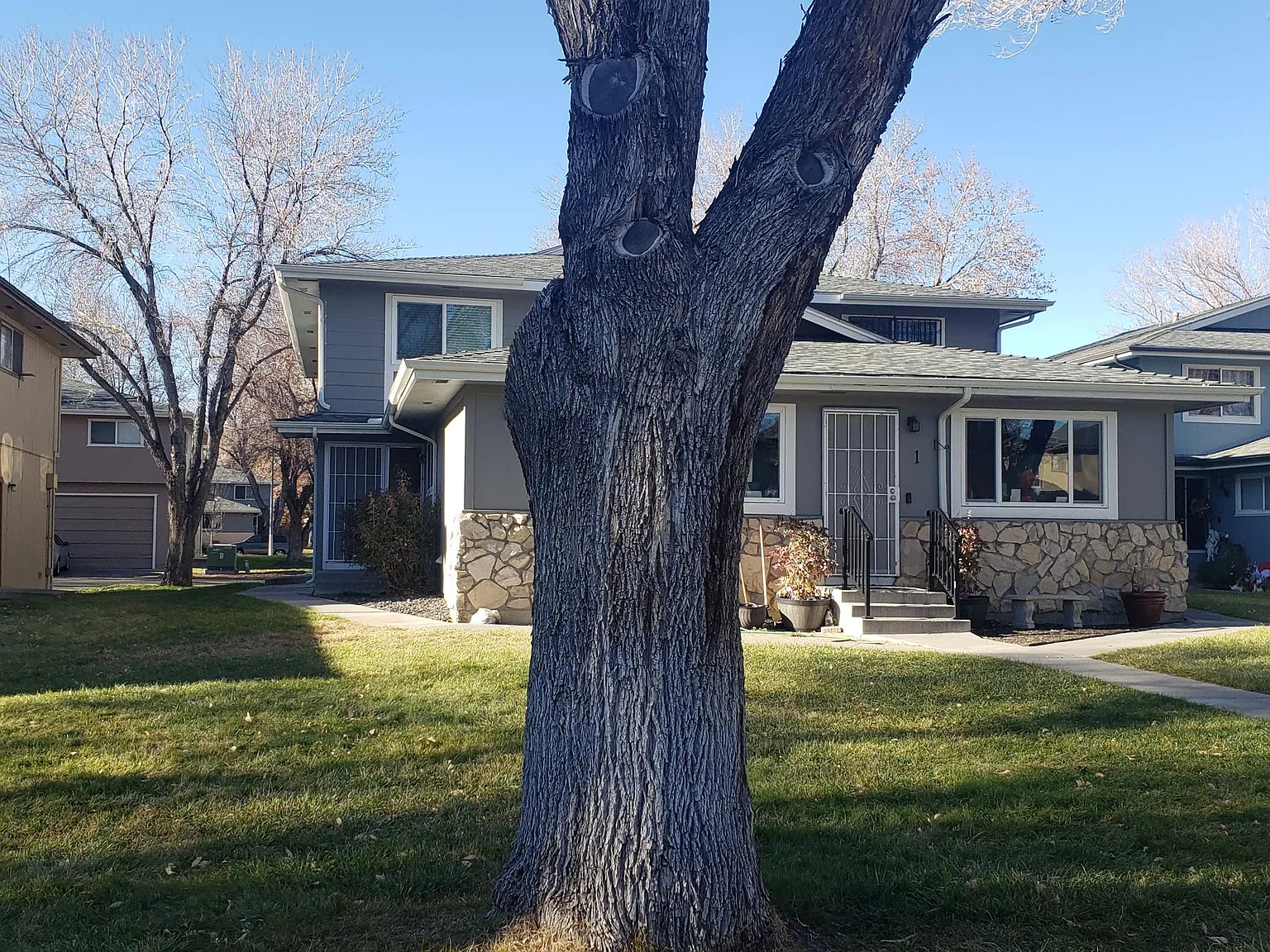 2 bed, 882 sqft, $1,495 — Photo 1