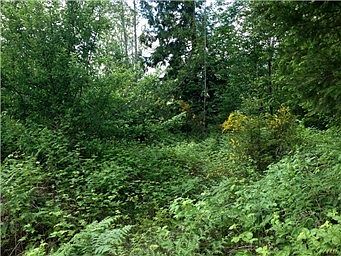 2nd image of 27404 86th Ave E
