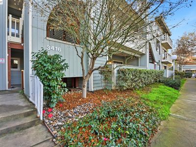 3416 Deerwood Ter APT 113, Fremont, CA, 94536