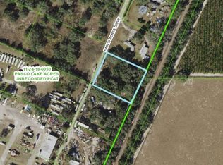 17008 Pasco Acres Dr, Spring Hill, FL 34610