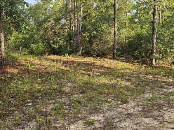 409 INCLINE Road, Satsuma, FL 32189