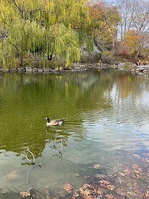 Sold by Corcoran | media 10