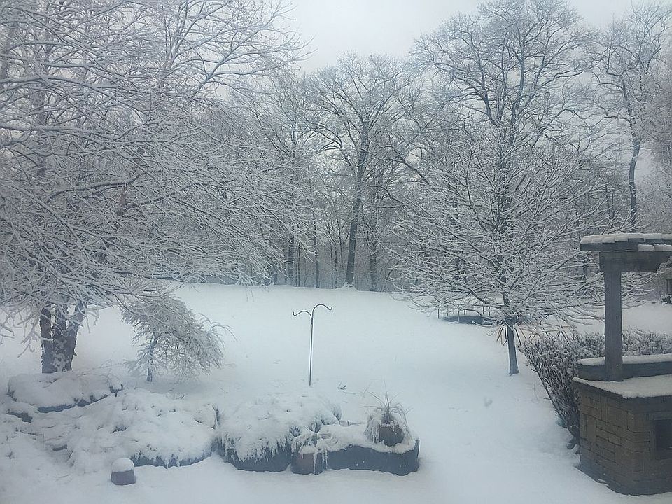 4424 Saint Johns Bluff Ln, Willoughby, OH 44094 Zillow