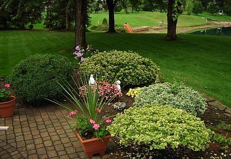 Rear patio off living room