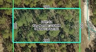 2nd image of 15483 MAN O WAR ROAD LOT 12
