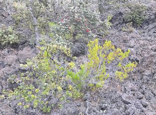 Trade Wind Blvd LOT 29, Ocean View, HI 96737