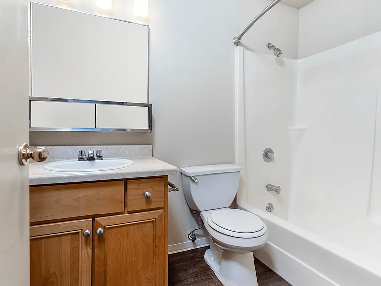 Clean, modern bathroom featuring a wood vanity, mirrored cabinet, and a bathtub-shower combo. Clean, modern bathroom featuring a wood vanity, mirrored cabinet, and a bathtub-shower combo.
