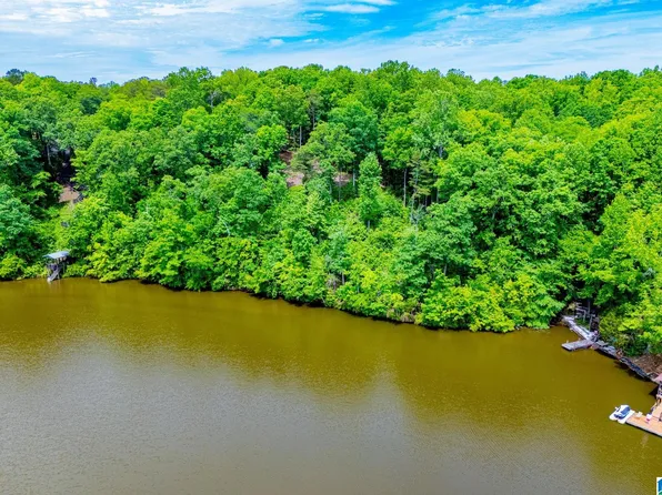 94 Wright Way Dr, Wedowee, AL 36278