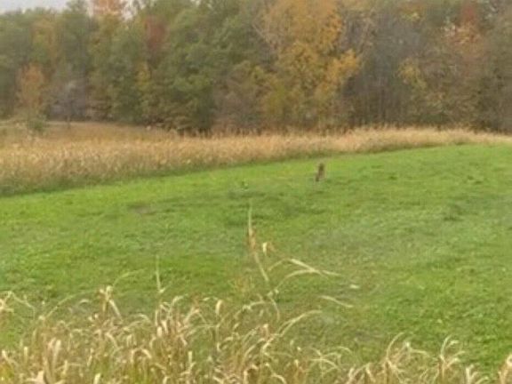 3rd image of 13000 Woerner Rd