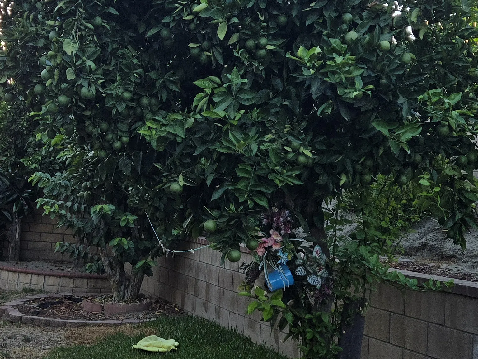 4050 Kennedy Ct — Photo 2