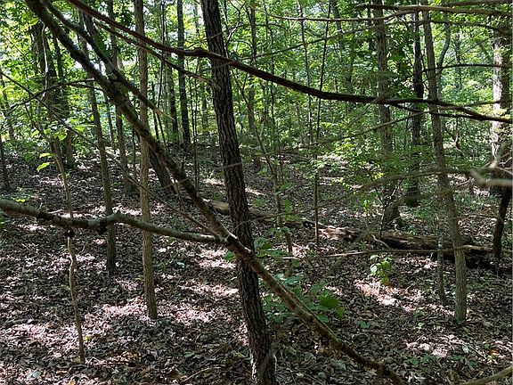 5th image of Lots 23 24 &25 Sycamore Tree Lane 24& 25 #23