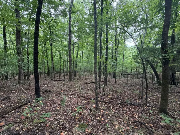 TRACT 6 Nc 6832, Jasper, AR 72641