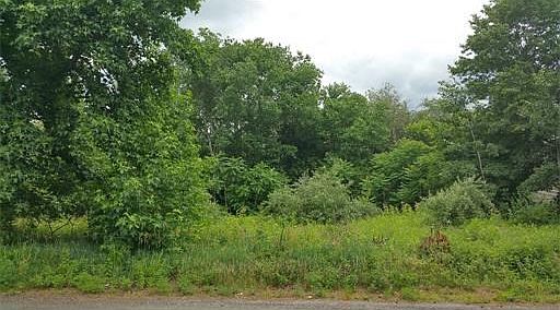 Approx. 100 x 770 lot. Was partially cleared when original home demolished.