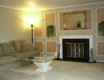 Wood Burning Fire Place