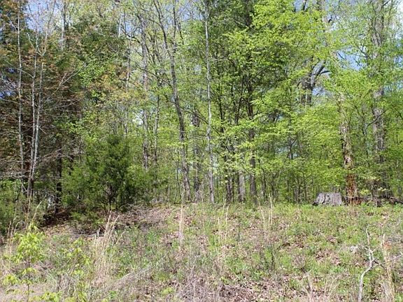 2nd image of 111 Woodland Trl