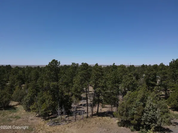 Pine St, Upton, WY 82730