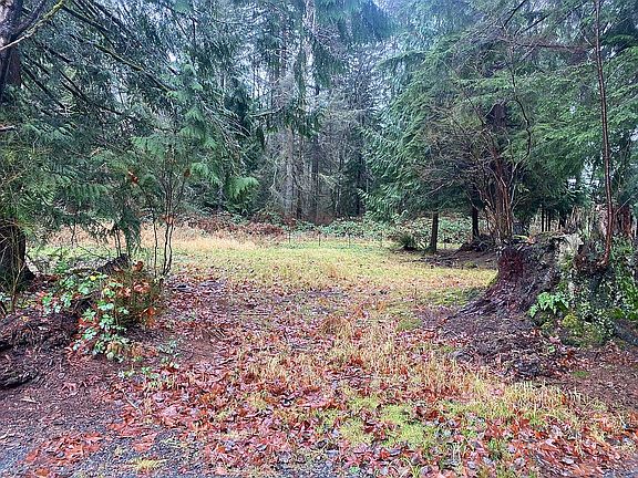  4 bdrm drain field site
