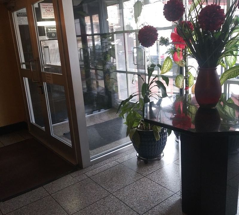 2nd image of 59 Gelston Ave #1W