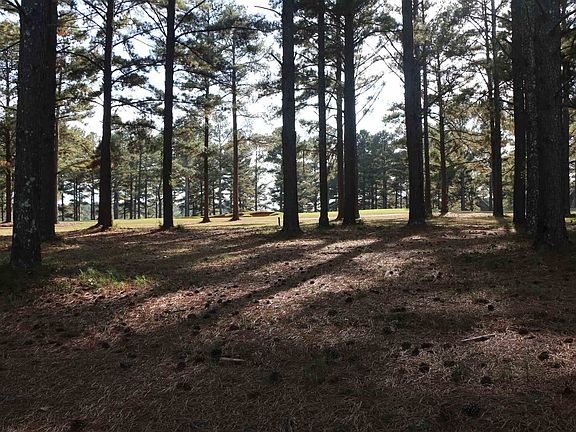 5th image of 124 McGehees Trl