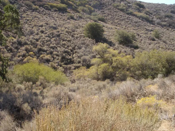 17691 Mountain Climber Way, Tehachapi, CA 93561