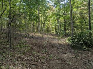 000 County Road 330, Dora, MO 65637